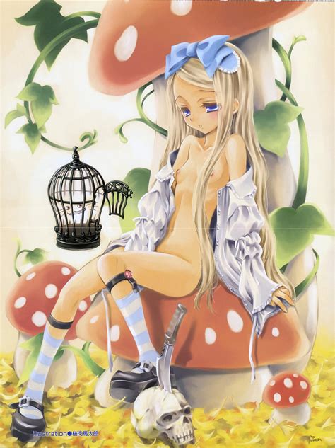 Alice Alice In Wonderland Drawn By Sakuraniku Umatarou Danbooru
