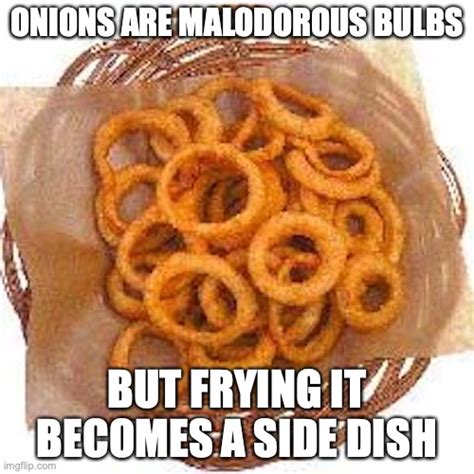 Onion Rings Imgflip