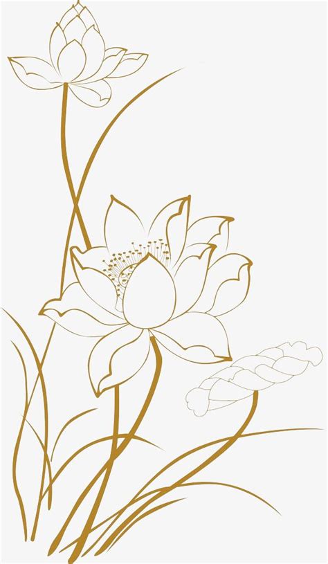 All png images can be used for personal use unless stated otherwise. Lotus Line Drawings, Lotus Clipart, Line Clipart, Lotus ...