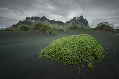 Green Island Iceland By Raymo Photography Island Nature Photo Tour