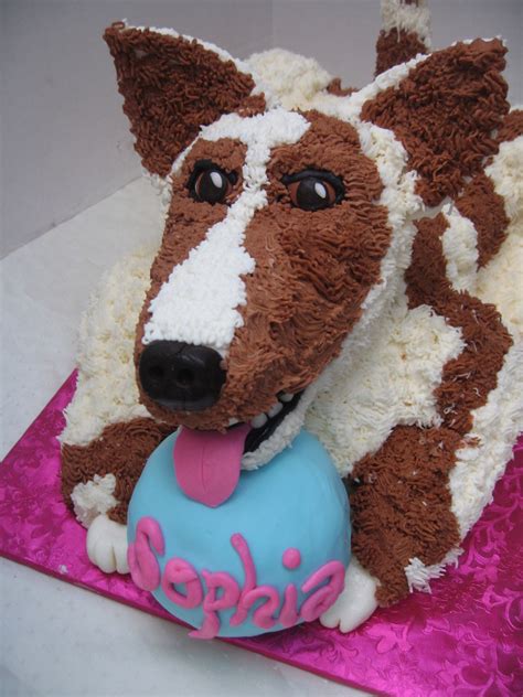 Not only are they agile working dogs, but they are also extremely intelligent and wonderful family once a herding canine, the australian shepherd, simply called aussies or aussie shepherds, has made its way into the hearts and homes of people. Australian Shepherd - CakeCentral.com
