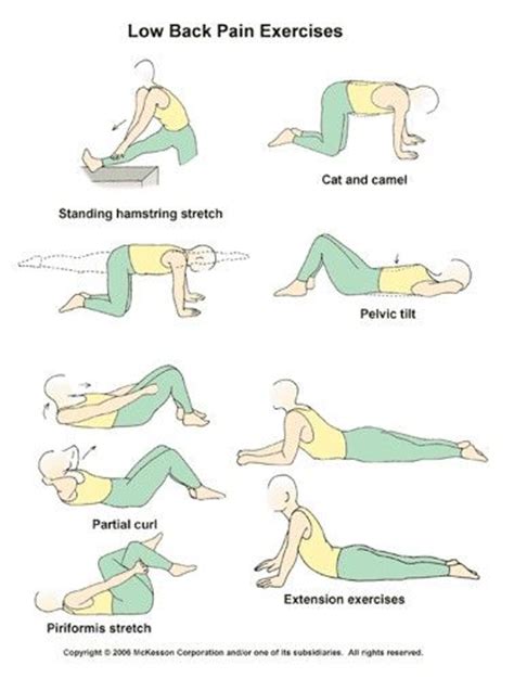 21 Best Low Back Pain Exercises Patient Handout Images On Pinterest