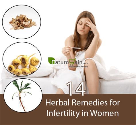 14 effective herbal remedies for infertility in women treat infertility naturally