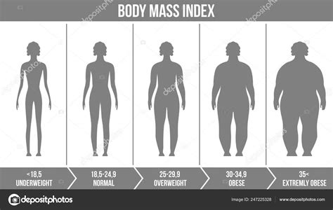 Creative Vector Illustration Of Bmi Body Mass Index Infographic Chart
