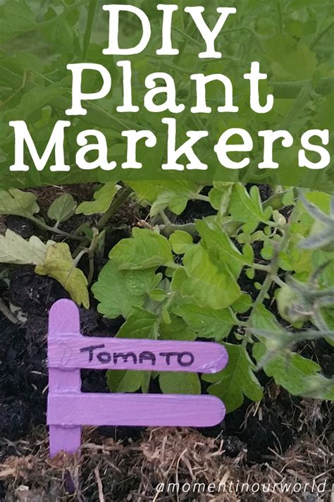 Diy Plant Markers Simple Living Creative Learning