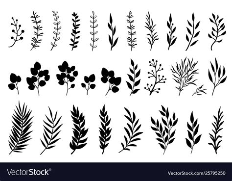 Set Hand Drawn Tree Branches And Leaves Royalty Free Vector