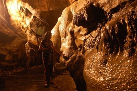 The Magical World Of Borra Caves Andhra Pradesh Times Of India Travel