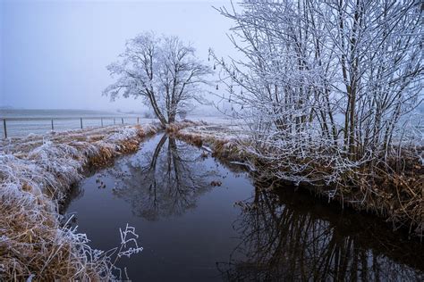 Pozadí Plochy Zima Obrázek Fotografie Zdarma Na Pixabay