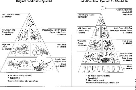 Figure From Modified Food Guide Pyramid For People Over Seventy Years