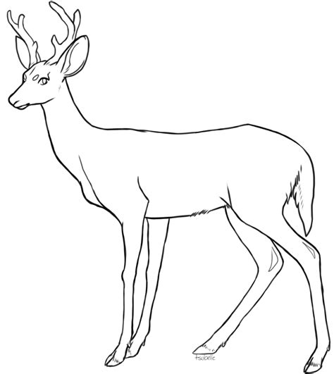 Free Deer Lineart By Tsubelle In 2023 Animal Sketches Deer Animal