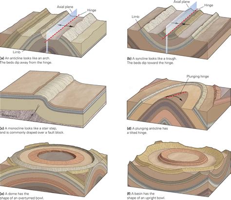 Types Of Folds Geology