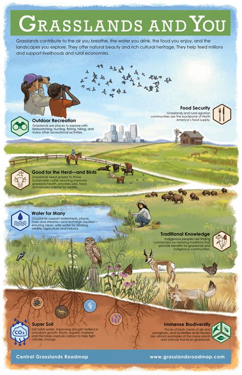 Grasslands And You Connecting People Birds And Land For A Healthy World