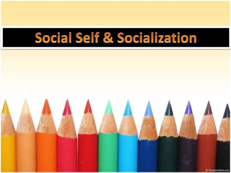 Social Self And Socialization