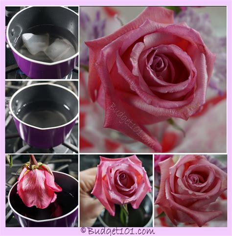 In slightly more muted tones than their fresh counterparts, preserved to air dry a bouquet, select the flowers that will hold up best with this method and display or press the remainder. Wax Dipped Flowers | How to Preserve a Rose with Wax