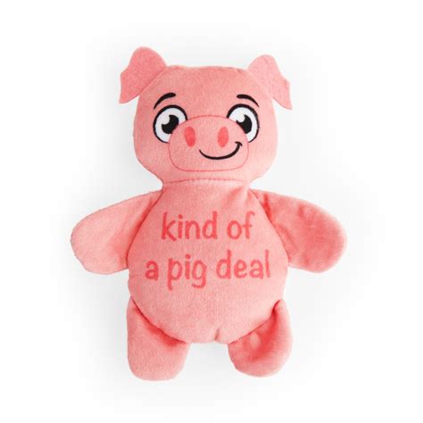 Petco Plush Pig Dog Toy, Small | Petco