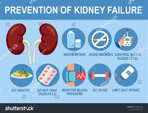 4967 Kidney Disease Symptoms Images Stock Photos And Vectors Shutterstock