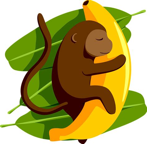 Monkey Hugging Banana Clipart Free Download Transparent Png Creazilla