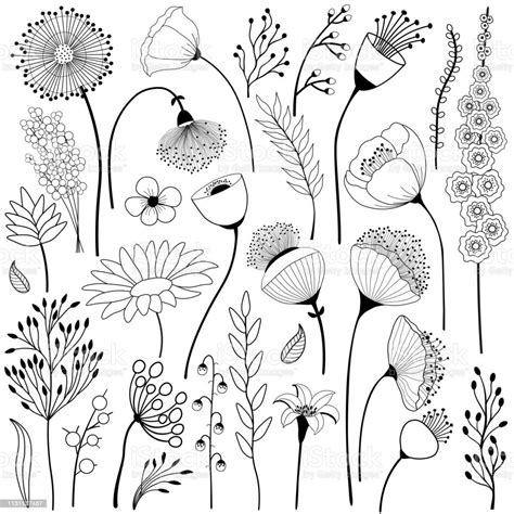 Set Of Abstract Flowers In Black And White Flower Line Drawings Flower Drawing Abstract Flowers