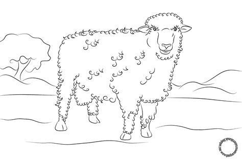 Gambar Gambar Mewarnai Domba Anak Tk Di Rebanas Rebanas