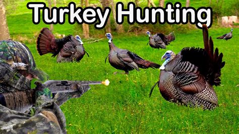 Gobblers In Minutes Kill Shot Compilation Youtube