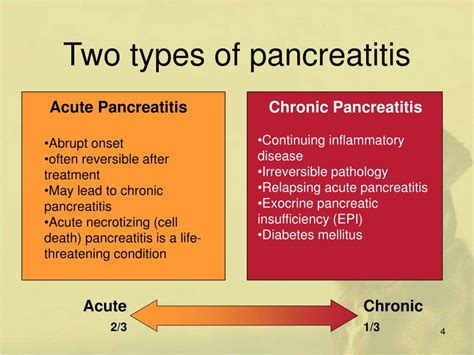 Check symptoms, diagnosis, treatments & more. PPT - Pancreatitis in Dogs and Cats PowerPoint ...