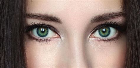 Die goldaugenbremse erreicht eine körpergröße von neun bis vierzehn millimetern und ist sehr auffällig gefärbt. Making Your Gorgeous Eyes Even More Beautiful - Makeup ...