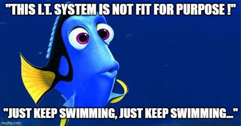 It System Not Fit For Purpose Imgflip