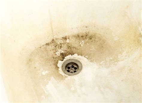 Maybe you would like to learn more about one of these? 15 Problems Hard Water Can Cause | Hard water stain ...