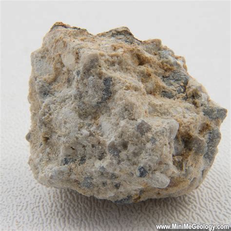 Conglomerate Sedimentary Rock Mini Me Geology