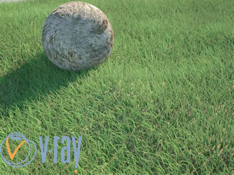Realistic Grass 3d Cgtrader