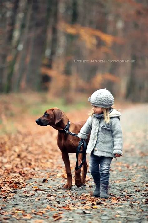 45 Cute Pictures Of Babies And Dogs