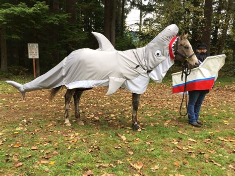 Kris Reiter 2015 Triple Crown Costume Contest Horse Halloween