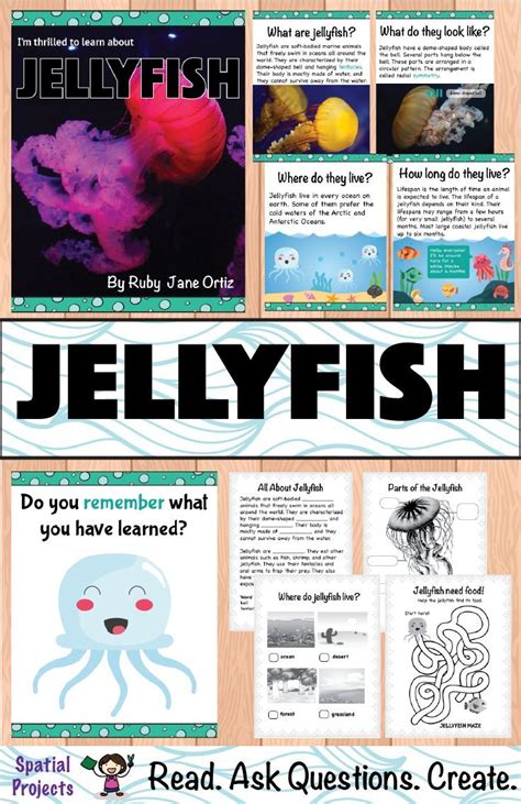 All About Jellyfish Nonfiction Unit