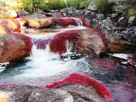 Cano Cristales River Colombia Mysterious Places On Earth Rainbow