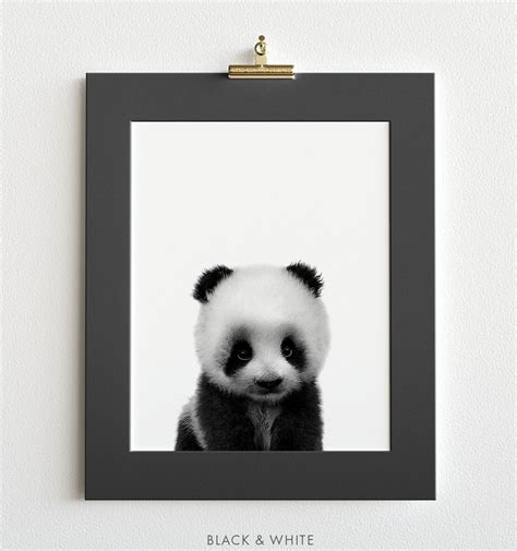 Baby Panda Print The Crown Prints