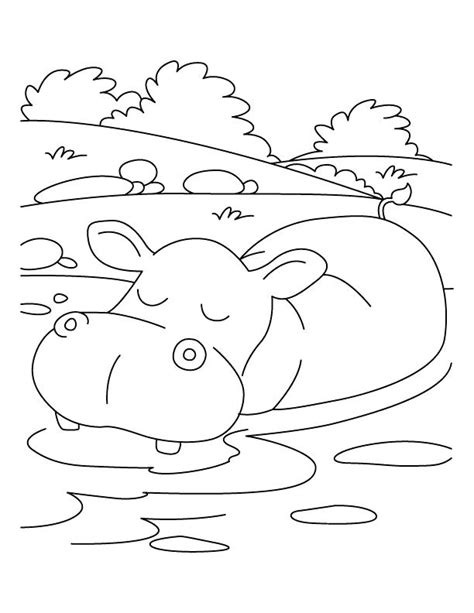 Hippo Coloring Pages For Kids At Getdrawings Free Download