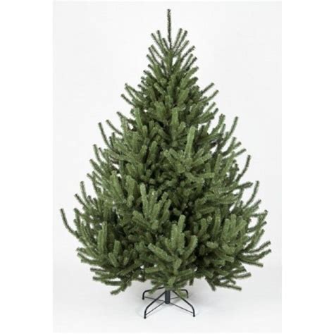 The Mountain Pine Tree 4ft To 14ft Pine Christmas Tree