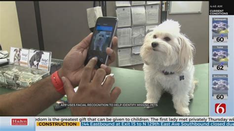 New App Helps Reunite Lost Pets With Owners