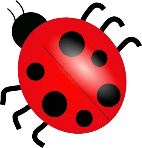 Ladybug Clip Art Vectors Graphic Art Designs In Editable Ai Eps Svg