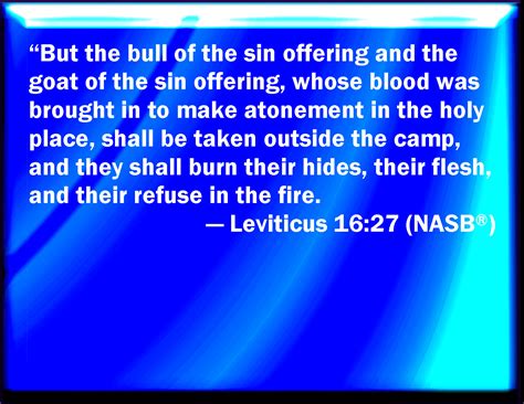 Leviticus 16:27 And the bullock for the sin offering, and the goat for