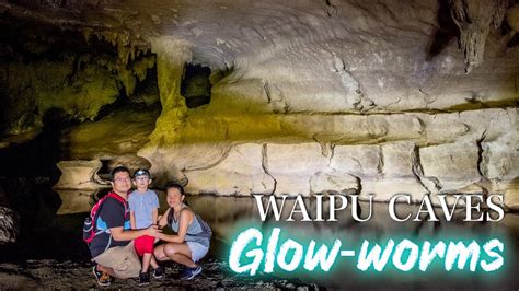 Inside New Zealands Glowworms Caves Waipu Caves Northland Nz