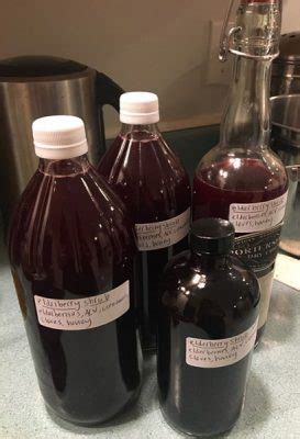 Easy method using dried elderberries. Staying Healthy with Native Plants: Elderberry Shrub ...