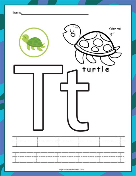 The Letter T Is For Turtle Coloring Page