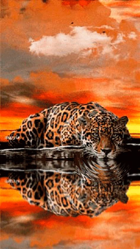 Pin By 👑🍀👑angềlique💖 On ХИЩНИКИ  Big Cats Art Cute Wild Animals