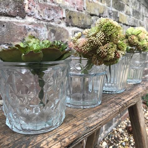 Vintage Style Glass Flower Pots Four Assorted Designs Two Sizes