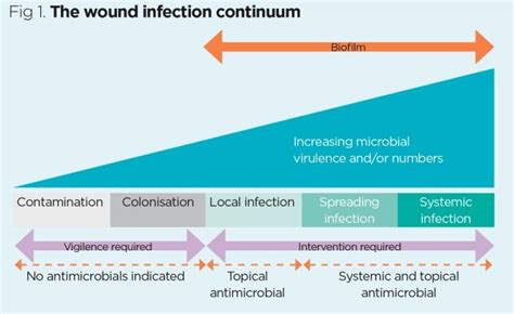Contamination Colonisation Infection