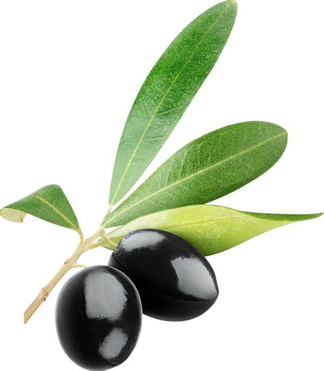 Black Olives Png Png Image With Transparent Background