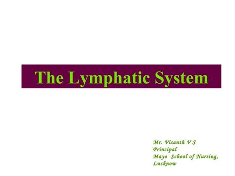 Lymphatic System Anatomy Ppt