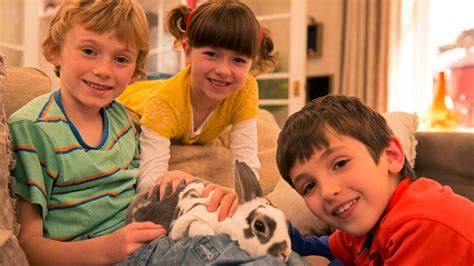 bbc iplayer topsy and tim series 2 12 wiggles trip
