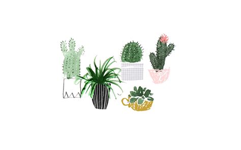 Cute Plant Computer Wallpapers Wallpaper Cave